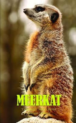 Book cover for Meerkat 5 x 8 Weekly 2020 Planner