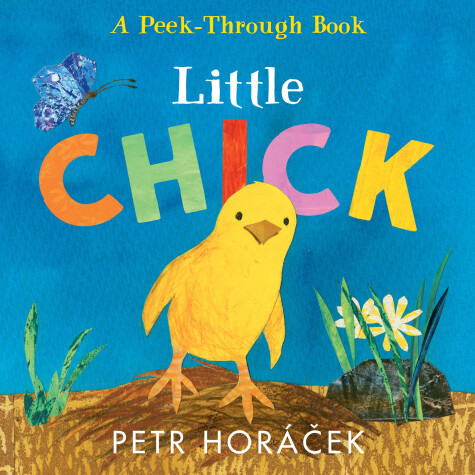 Book cover for Little Chick