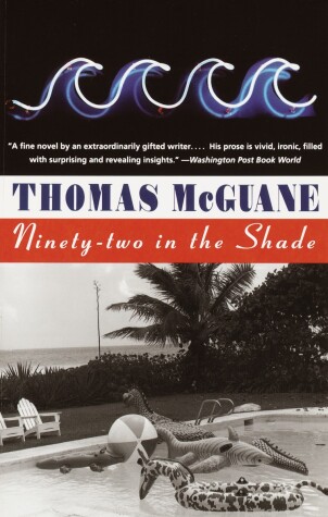 Book cover for Ninety-two in the Shade