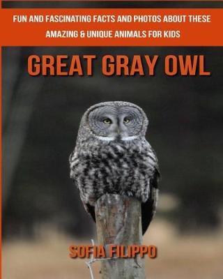 Book cover for Great Gray Owl