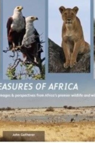 Cover of Treasures of Africa