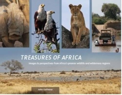 Book cover for Treasures of Africa