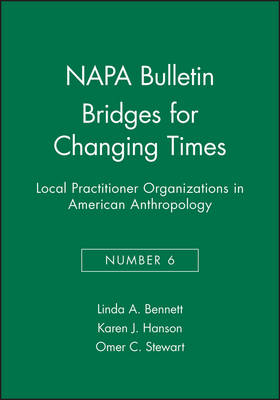 Book cover for Bridges for Changing Times