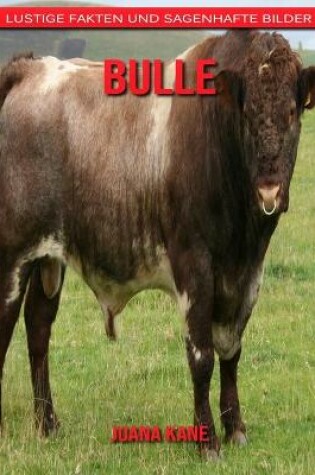 Cover of Bulle