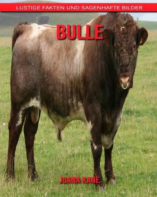 Book cover for Bulle