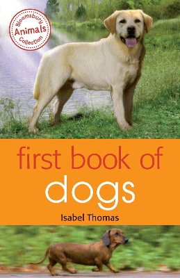 Book cover for First Book of Dogs