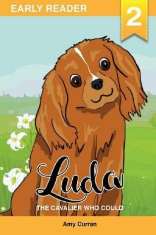 Cover of Luda the Cavalier who could