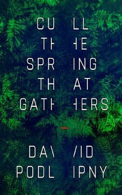 Book cover for Cull the Spring That Gathers