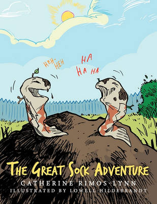 Book cover for The Great Sock Adventure