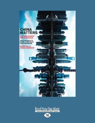 Book cover for China Matters