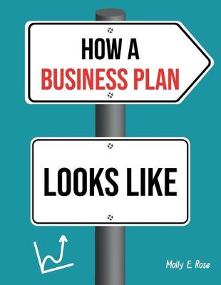 Book cover for How A Business Plan Looks Like