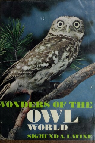 Cover of Wonders of the Owl World
