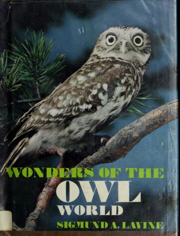 Book cover for Wonders of the Owl World