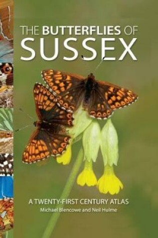 Cover of The Butterflies of Sussex