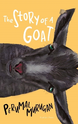 Book cover for The Story of a Goat