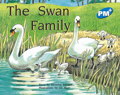 Book cover for The Swan Family