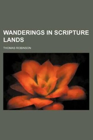 Cover of Wanderings in Scripture Lands