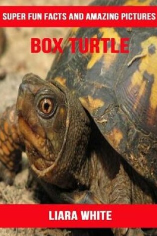 Cover of Box Turtle