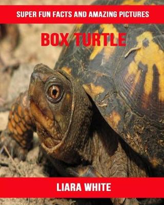 Cover of Box Turtle