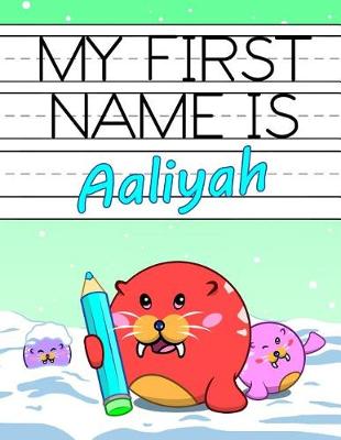 Book cover for My First Name Is Aaliyah