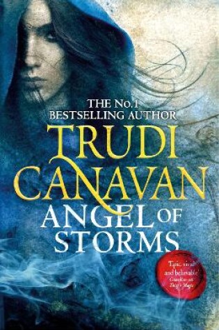 Cover of Angel of Storms