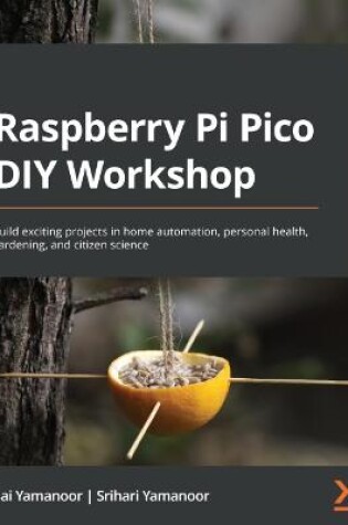 Cover of Raspberry Pi Pico DIY Workshop