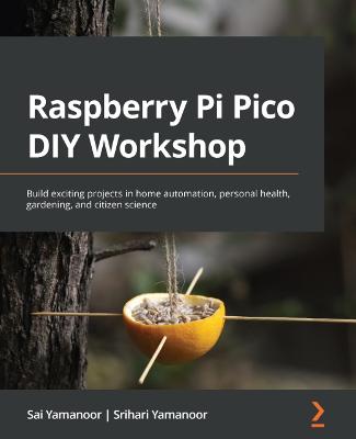 Book cover for Raspberry Pi Pico DIY Workshop