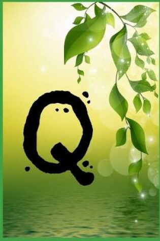 Cover of Q