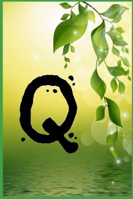 Book cover for Q