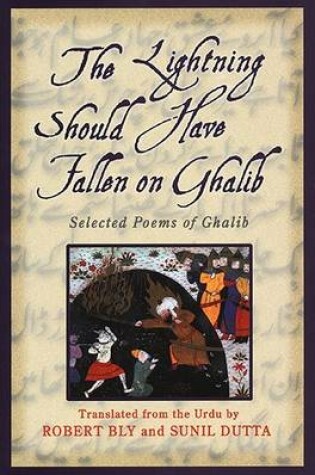 Cover of Lightning Should Have Fallen on Ghalib