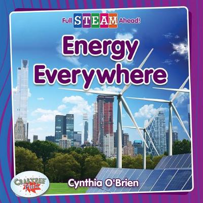 Cover of Energy Everywhere