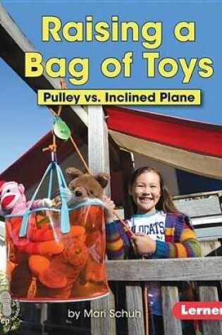 Cover of Raising a Bag of Toys