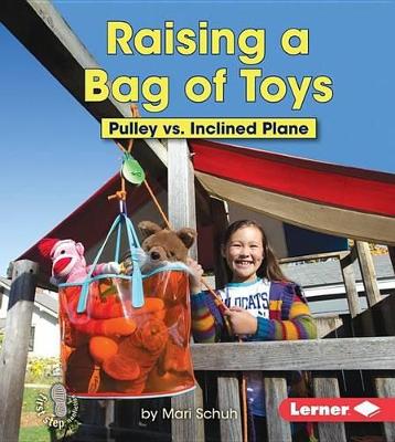 Cover of Raising a Bag of Toys