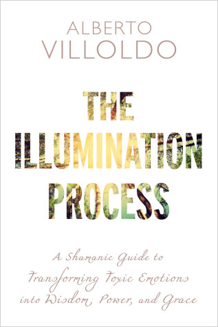 Book cover for The Illumination Process