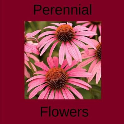 Book cover for Perennial Flowers