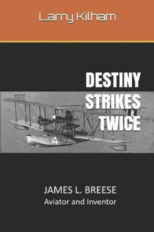 Cover of Destiny Strikes Twice