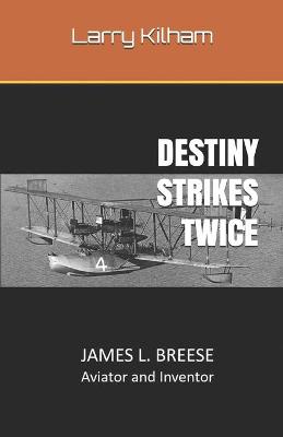 Book cover for Destiny Strikes Twice