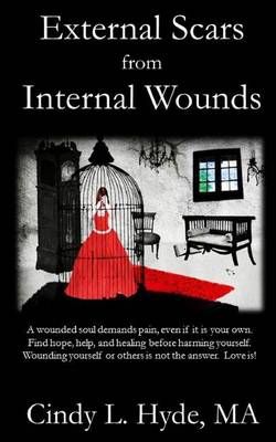 Book cover for External Scars from Internal Wounds