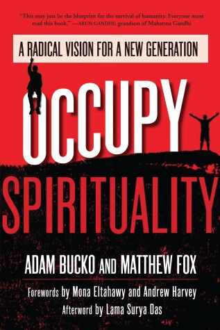 Book cover for Occupy Spirituality
