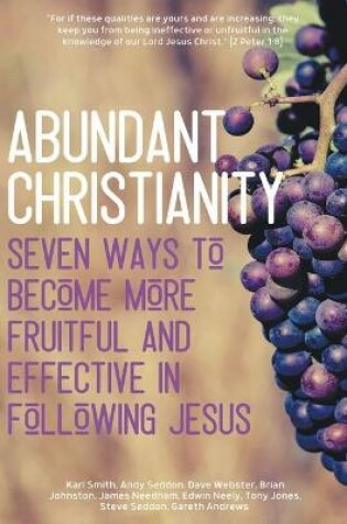 Cover of Abundant Christianity