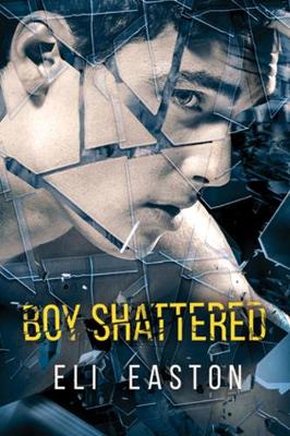 Book cover for Boy Shattered
