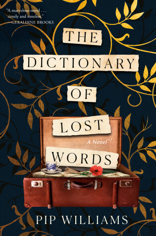 Cover of The Dictionary of Lost Words