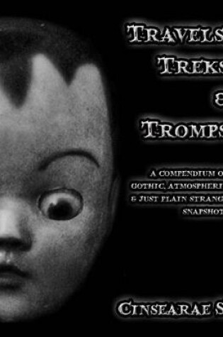 Cover of Travels, Treks & Tromps