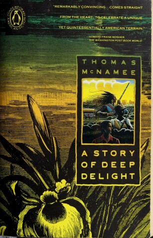 Book cover for Macnamee Thomas : Story of Deep Delight