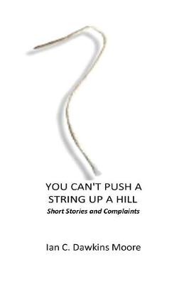 Book cover for You Can't Push a String Up a Hill