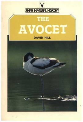 Book cover for The Avocet