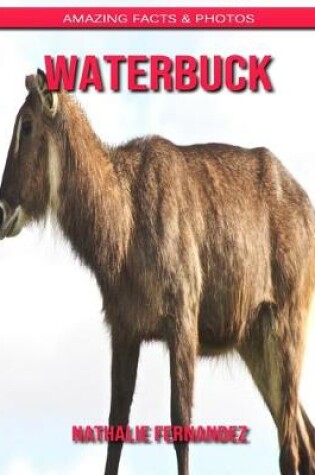 Cover of Waterbuck