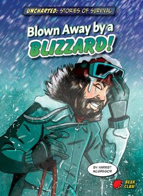 Book cover for Blown Away by a Blizzard!