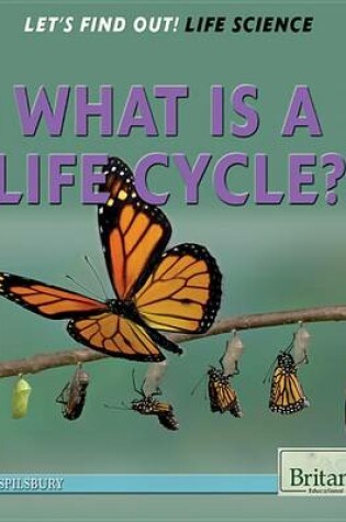 Cover of What Is a Life Cycle?