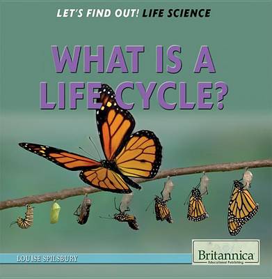 Cover of What Is a Life Cycle?